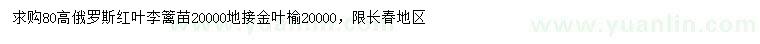 求購高80公分俄羅斯紅葉李