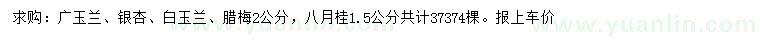 求購廣玉蘭、銀杏、白玉蘭等