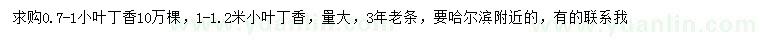 求購(gòu)0.7-1、1-1.2米小葉丁香