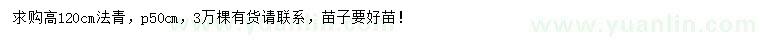 求購高120公分法青