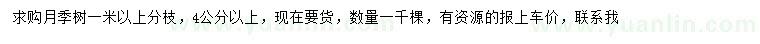 求購(gòu)4公分以上月季樹(shù)
