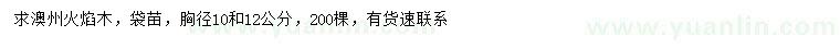 求購(gòu)胸徑10、12公分澳州火焰木