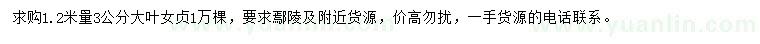求購1.2米量3公分大葉女貞
