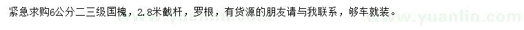 求購6公分國槐