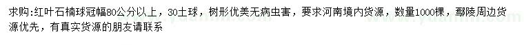 求購冠幅80公分以上紅葉石楠球