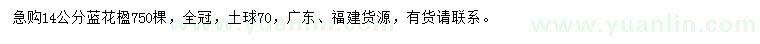 求購14公分藍(lán)花楹