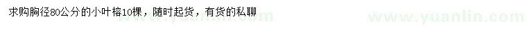 求購胸徑80公分小葉榕