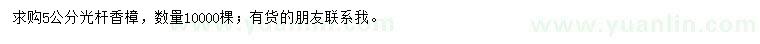 求購(gòu)5公分光桿香樟