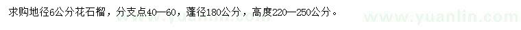 求購地徑6公分花石榴