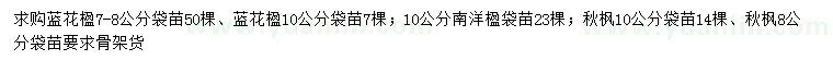 求購藍(lán)花楹、南洋楹、秋楓