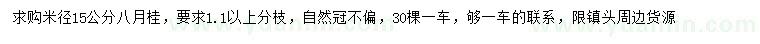 求購米徑15公分八月桂