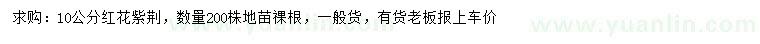 求購10公分紅花紫荊