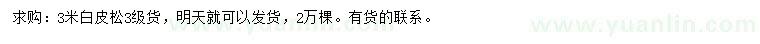 求購3米白皮松