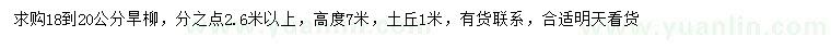 求購18-20公分旱柳