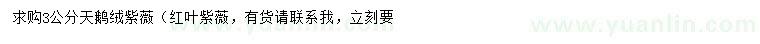 求購(gòu)3公分天鵝絨紫薇