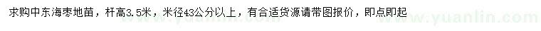 求購米徑43公分以上中東海棗