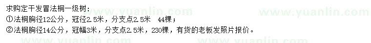 求購胸徑12、14公分法桐