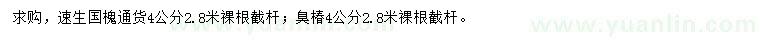 求購(gòu)4公分速生國(guó)槐、臭椿