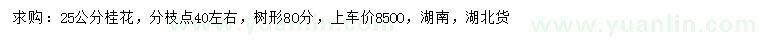 求購25公分桂花