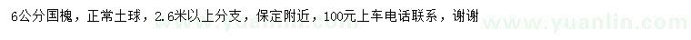 求購6公分國槐