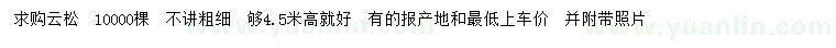 求購4.5米高云松