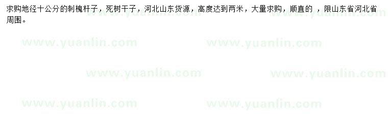 求購地徑10公分刺槐
