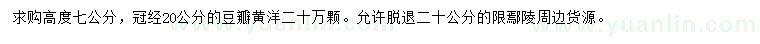求購高7公分豆瓣黃楊