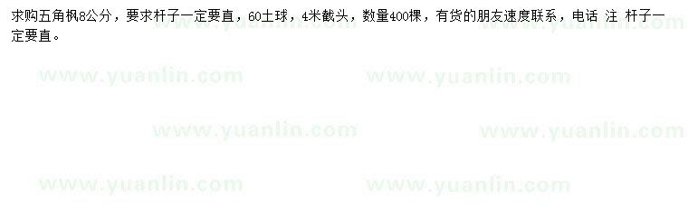 求購8公分五角楓