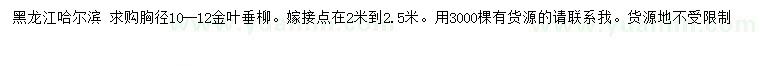 求購胸徑10-12公分金葉垂柳