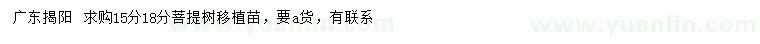 求購15、18公分菩提樹