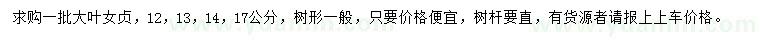 求購12、13、14、17公分大葉女貞