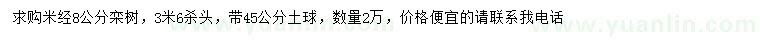 求購米徑8公分欒樹