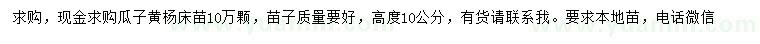 求購高10公分瓜子黃楊