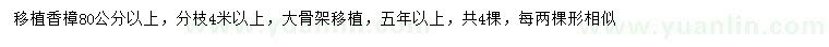 求購(gòu)80公分以上移植香樟