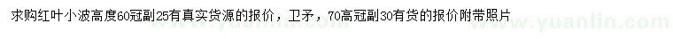 求購高60公分紅葉小檗、70公分衛(wèi)矛