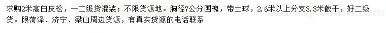 求購高2米白皮松