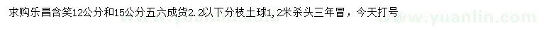 求購12、5公分樂昌含笑