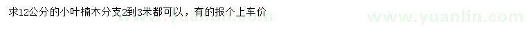 求購12公分小葉楠木