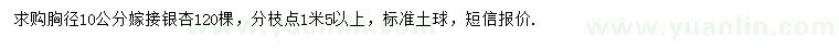 求購胸徑10公分嫁接銀杏