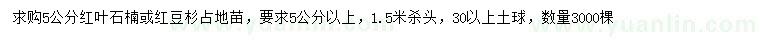 求購5公分紅葉石楠、紅豆杉占地苗