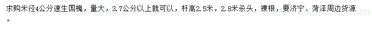 求購(gòu)米徑4公分速生國(guó)槐