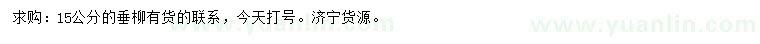 求購15公分垂柳