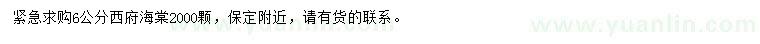 求購6公分西府海棠
