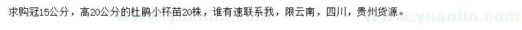 求購(gòu)冠幅15公分杜鵑