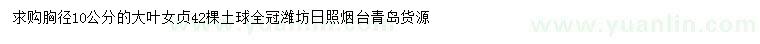 求購胸徑10公分大葉女貞