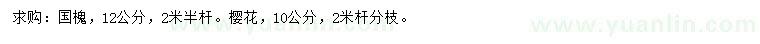 求購12公分國槐、10公分櫻花