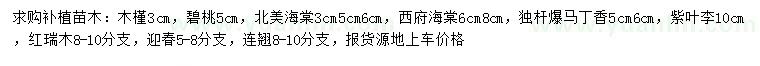 求購木槿、北美海棠、西府海棠等