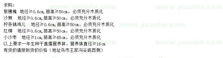 求購紫穗槐、沙棘、檸條錦雞兒等