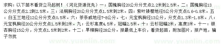 求購(gòu)國(guó)槐、法桐、紫葉矮櫻等