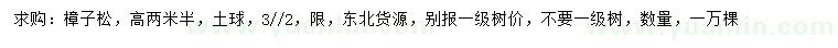 求購高2.5米樟子松